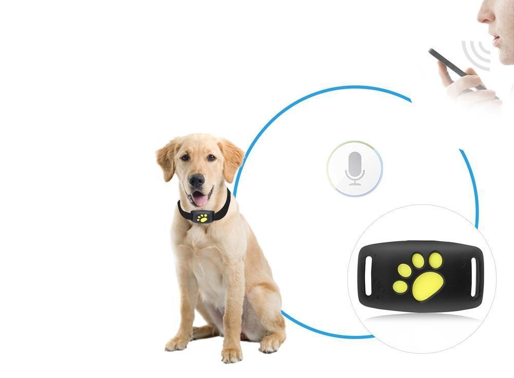 Localizzatore GPS per gatti, compatto e leggero, con funzioni di tracciamento reale e design confortevole.