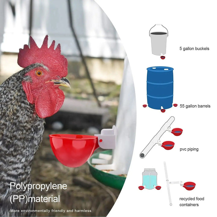 Automatic poultry waterer 10-pack ensures constant fresh water for chickens, ducks & quail in the coop.