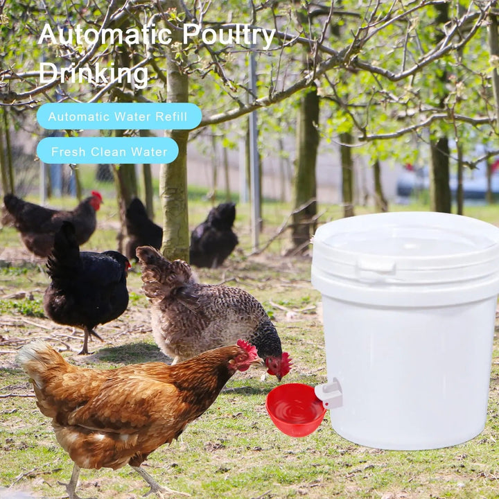 Self-filling 10-pack automatic chicken waterer. Durable poultry hydration system for farm life.