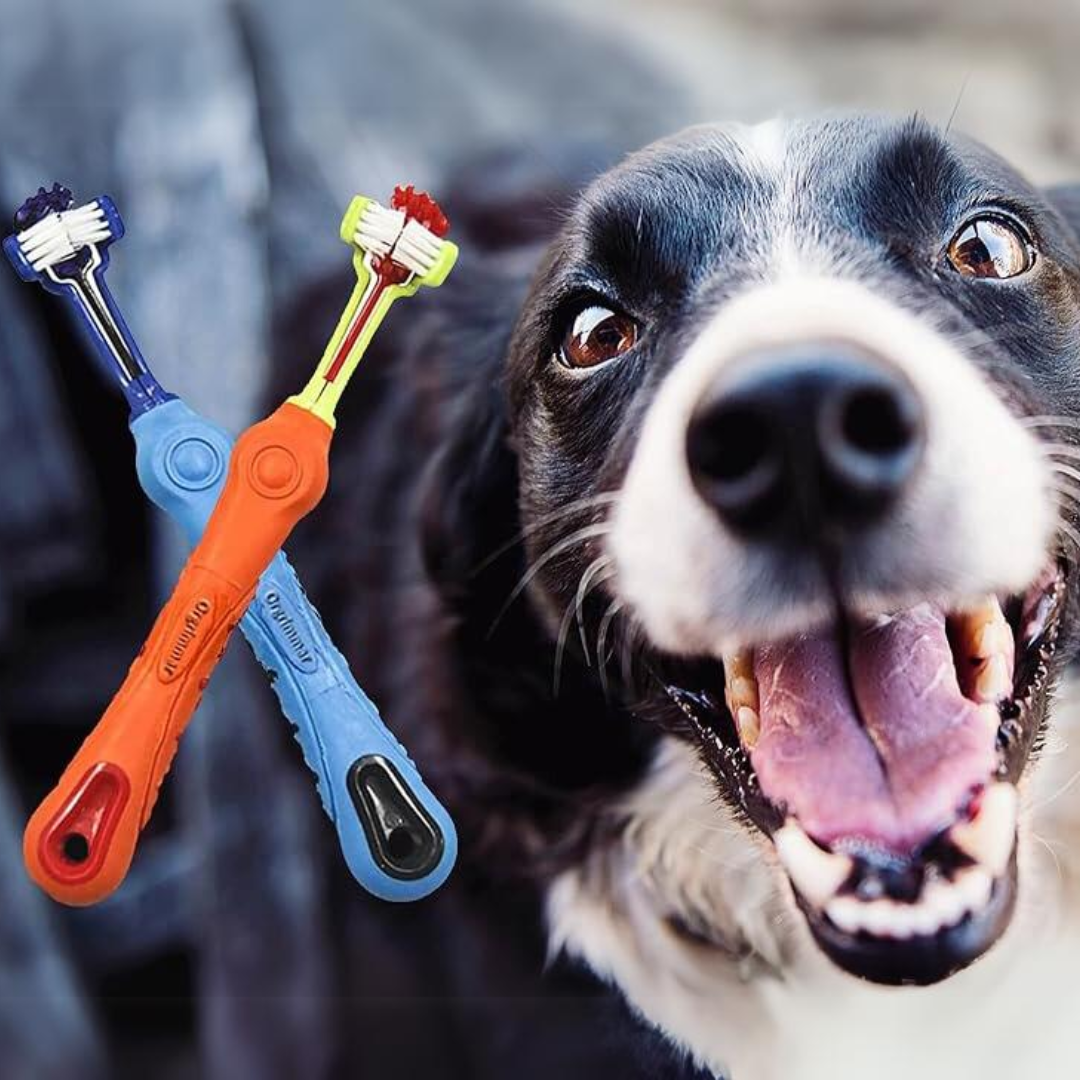 3-Sided Pet Toothbrush 2-pack for dogs & cats. Oral care for healthy teeth, fresh breath & tartar control.