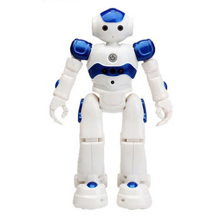 Intelligent Remote Control Robot for Interactive Fun