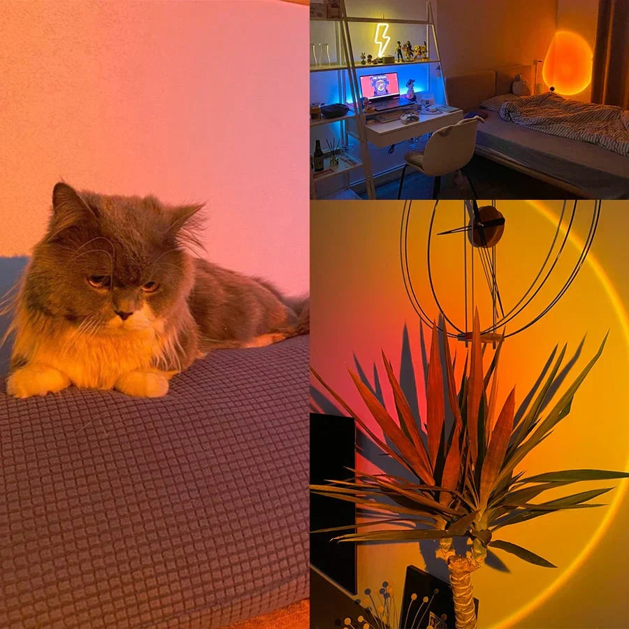 Modern sunset lamp, a stylish home decor piece & unique gift idea. Provides beautiful ambient mood lighting.