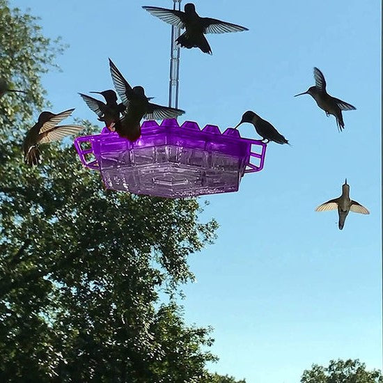 Elegant hanging hummingbird feeder, perfect outdoor decor for attracting wild birds to your garden.