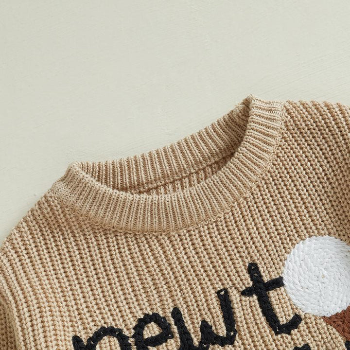 Soft baby pullover with delicate embroidery, a cozy crewneck sweater for infants and toddlers. Neutral everyday outfit.