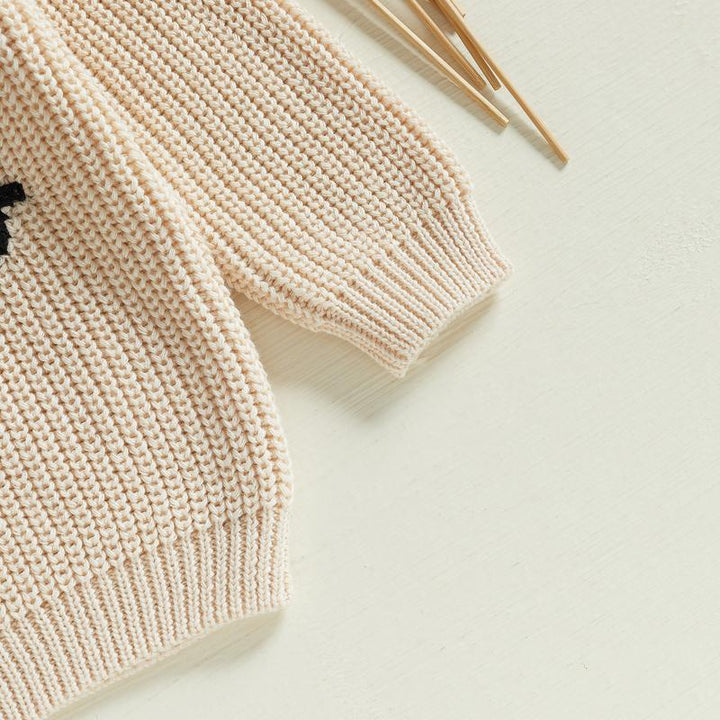 Delicate embroidered baby crewneck sweater. A comfortable, neutral infant pullover, ideal as a gift for baby.