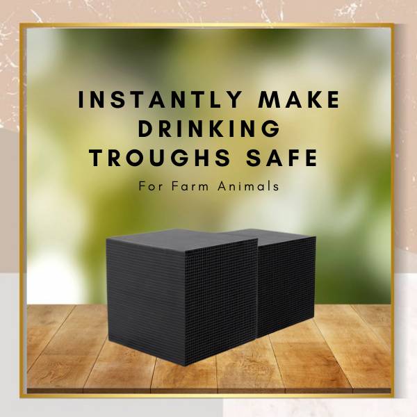 Compact bio cube water filter for pet water bowls, horse troughs & livestock tanks. Prevents algae growth, improves water quality.