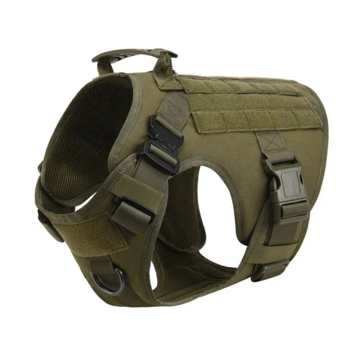 Black dog no-pull training harness vest, designed for enhanced control & comfort during walks.