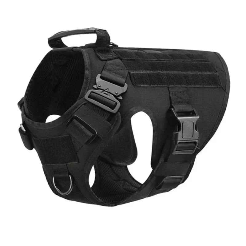 Dog wearing a comfortable, adjustable no-pull training harness vest for safe & enjoyable outdoor walks.