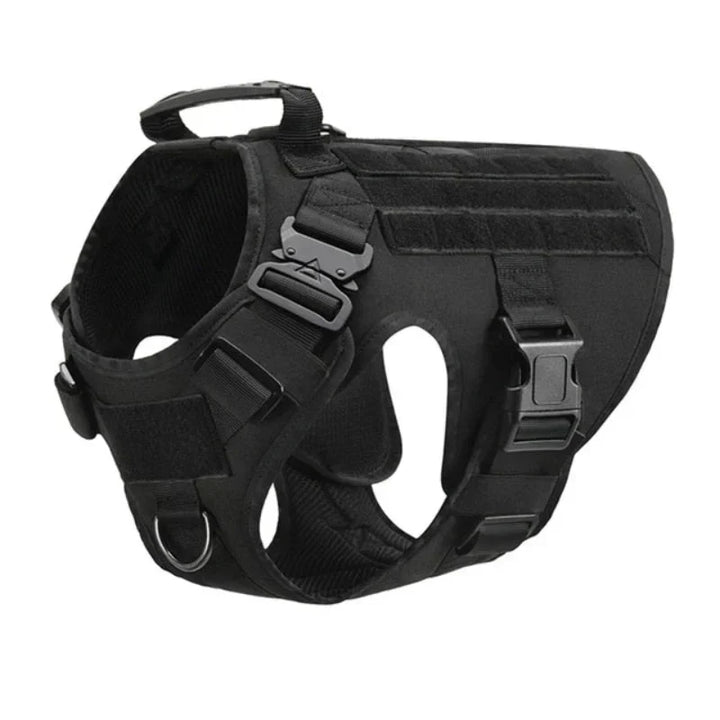 Dog wearing a comfortable, adjustable no-pull training harness vest for safe & enjoyable outdoor walks.
