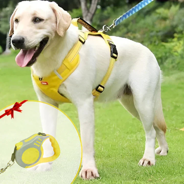 Black no-pull dog harness with padded comfort, adjustable straps, & control handle for safe walks & training.
