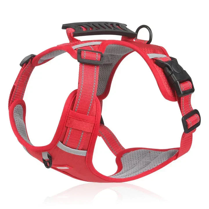 Comfortable orange no-pull dog harness with soft padding, easy adjustability, and a sturdy top control handle.