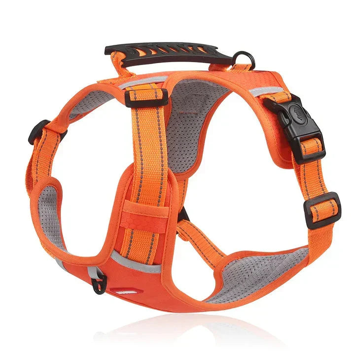 Adjustable black no-pull dog harness for effective training and comfortable walking. Padded with a reliable control handle.