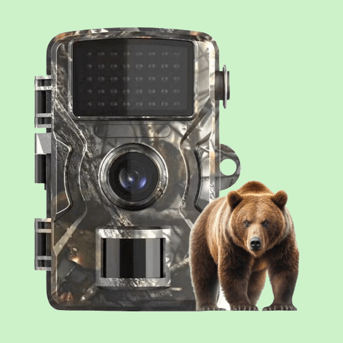 "Camera per fauna selvatica, visione notturna, foto e video HD, design robusto, mimetico, impermeabile, LED infrarossi invisi