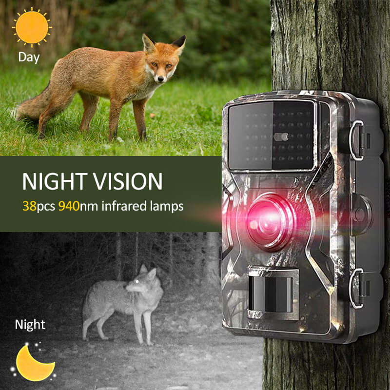 "Camera per fauna selvatica, visione notturna, foto e video HD, design robusto, mimetico, impermeabile, LED infrarossi invisi
