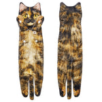 Tortoiseshell