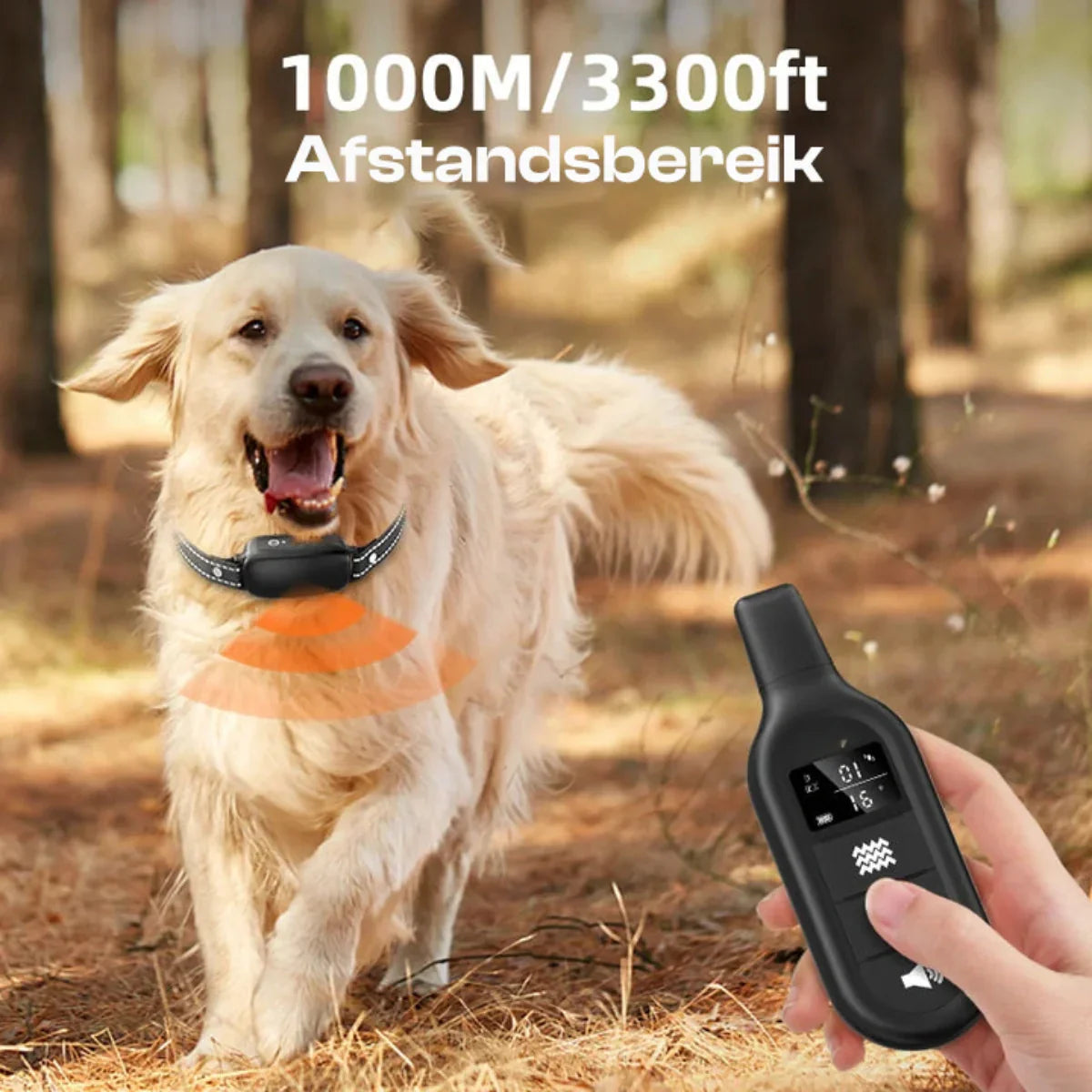 "Collare addestramento cane nero, telecomando impermeabile, raggio 1000m, con modalità bip, vibrazione, scossa regolabili."