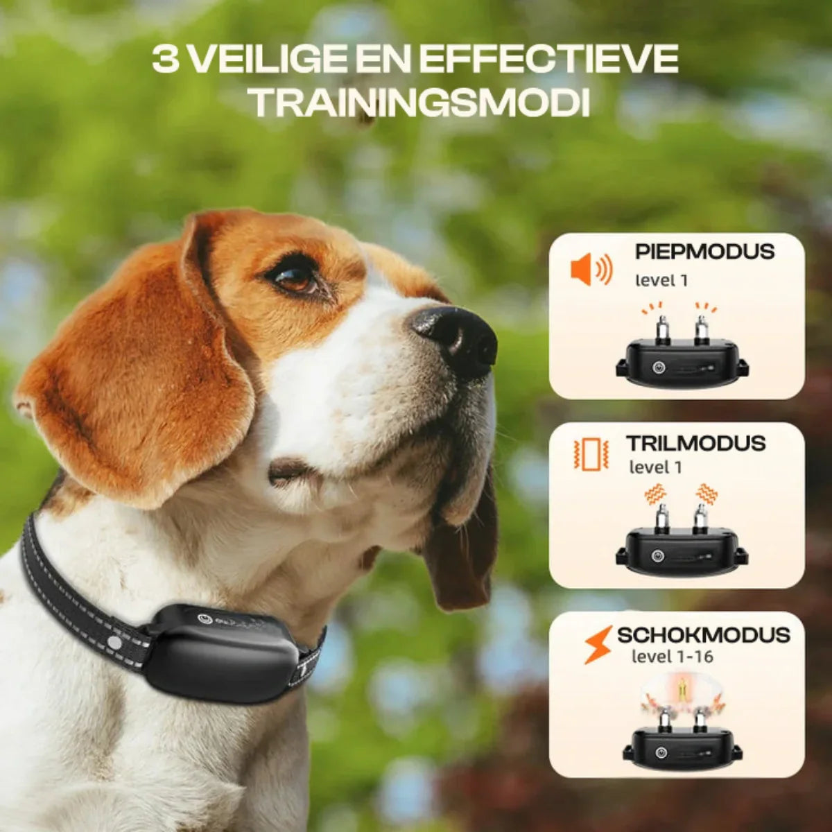 "Collare addestramento cane nero, telecomando impermeabile, raggio 1000m, con modalità bip, vibrazione, scossa regolabili."