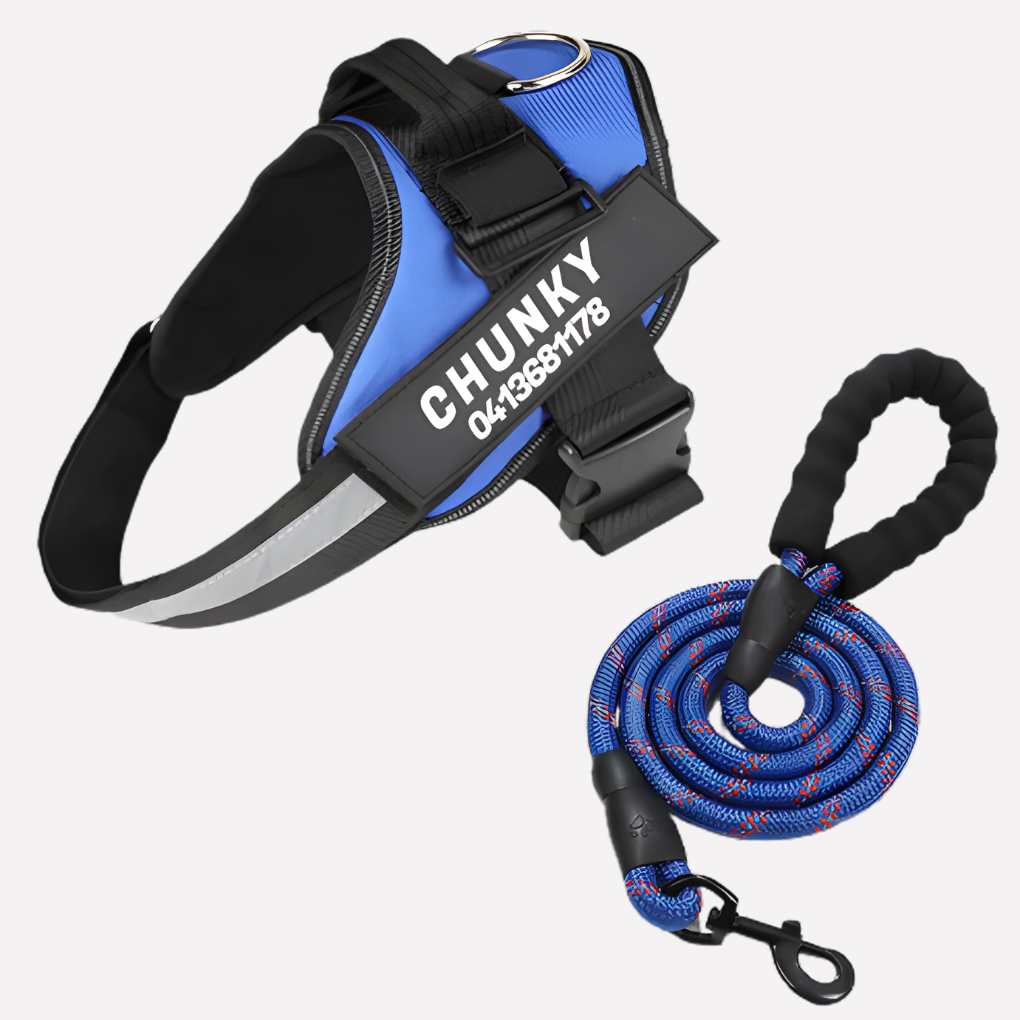 Customizable anti-pull dog harness for better control during walks & training.