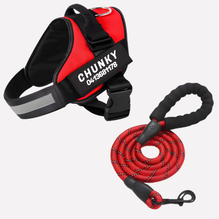 Personalized dog harness with custom name/patch for all dog breeds, no-pull design.
