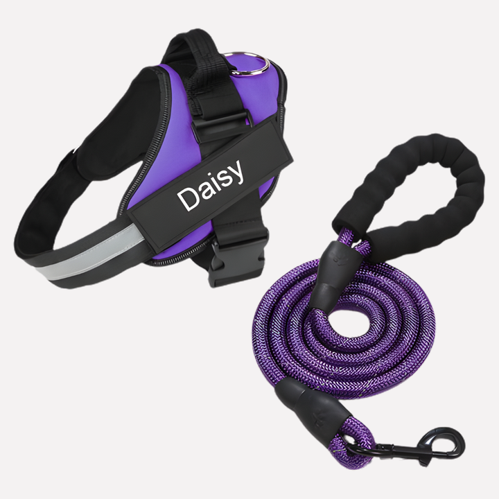 Effective dog training harness, anti-pull design for improved control and comfortable walking.