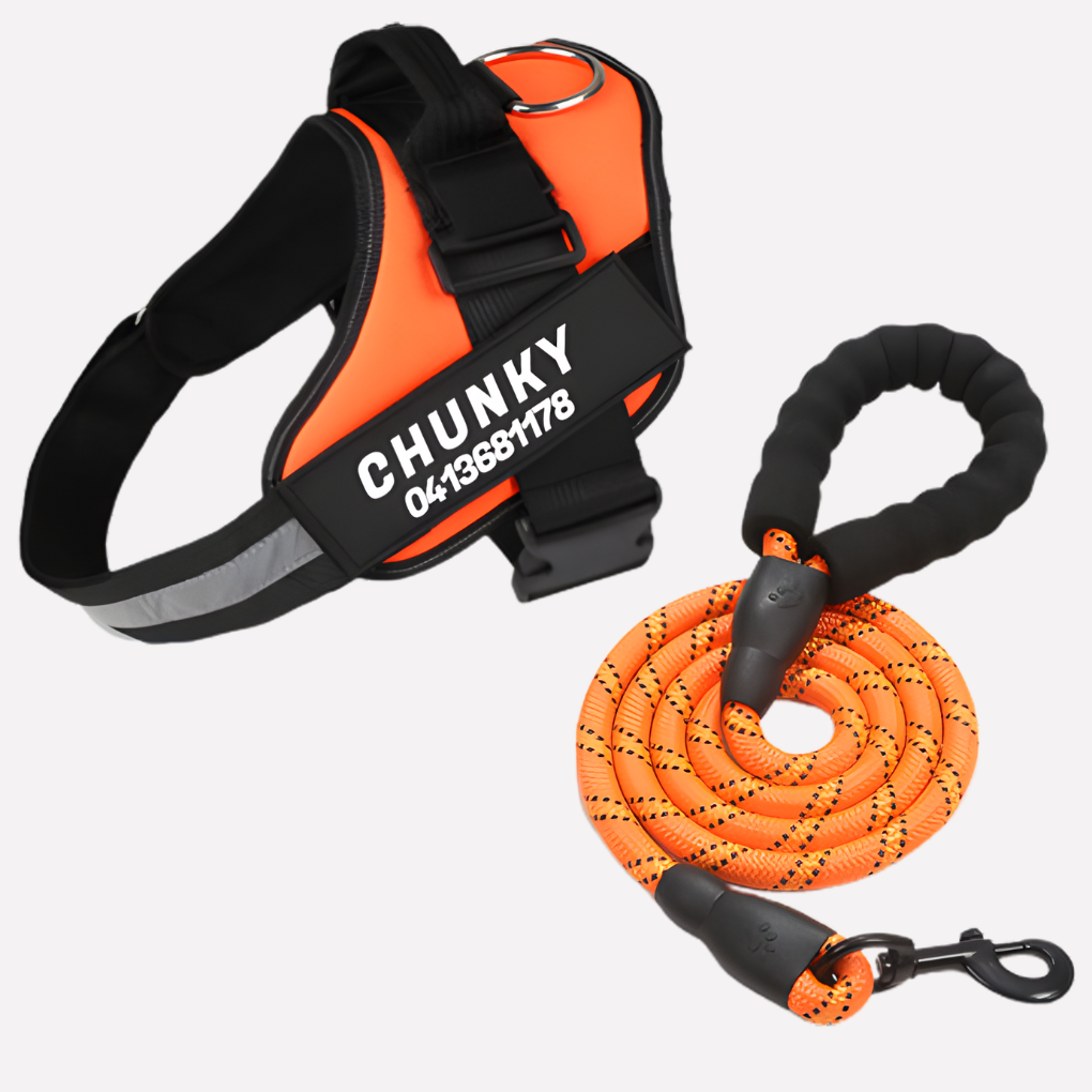 Adjustable no-pull dog harness for small, medium, & large dogs; comfortable & secure fit.