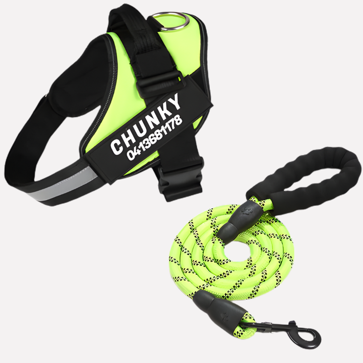 Durable, reflective dog walking harness, customizable & designed for anti-pull control.