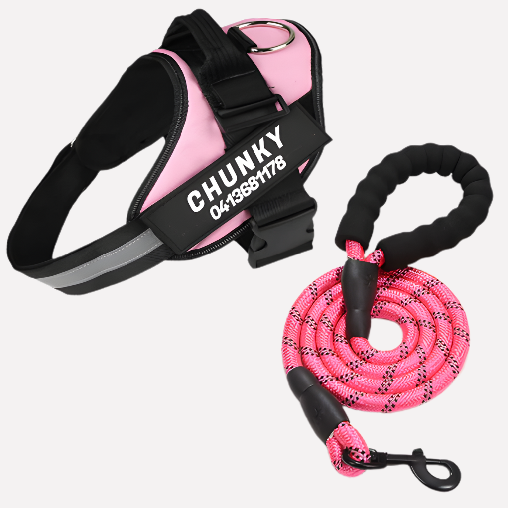 Comfortable pet vest harness for dogs, anti-pull feature for better walking and safety.