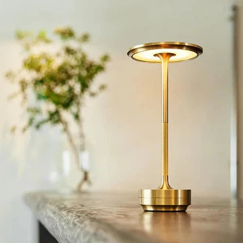 Dimmable wireless table lamp. USB rechargeable LED light for modern home decor & bedside use.