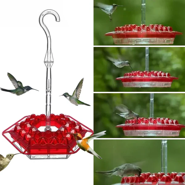 Durable ant-proof hummingbird feeder with 30 bee-resistant ports for garden bird watching. Pest-free backyard wildlife.