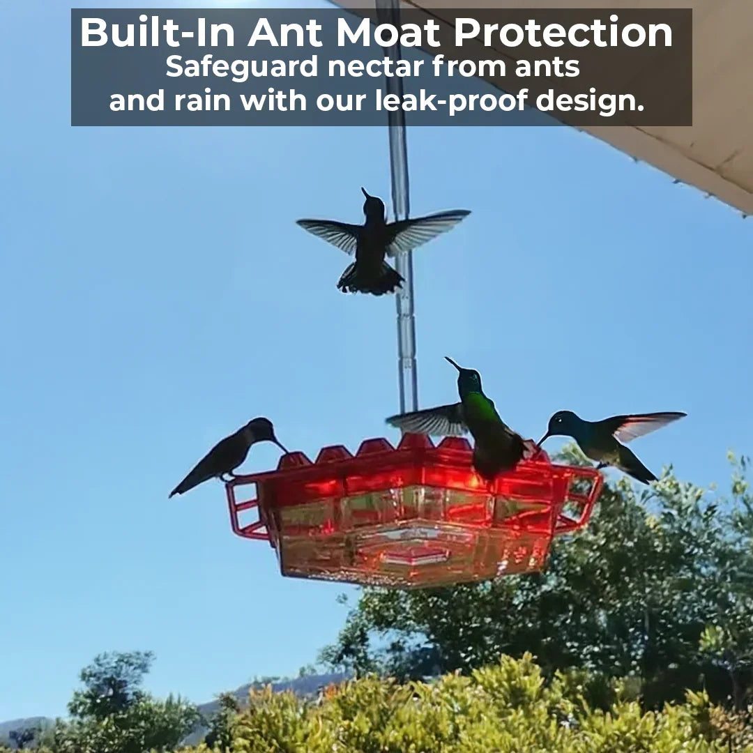 Durable 30-port hummingbird feeder with ant-proof moats & bee-resistant design. Great for attracting hummingbirds to your garden.