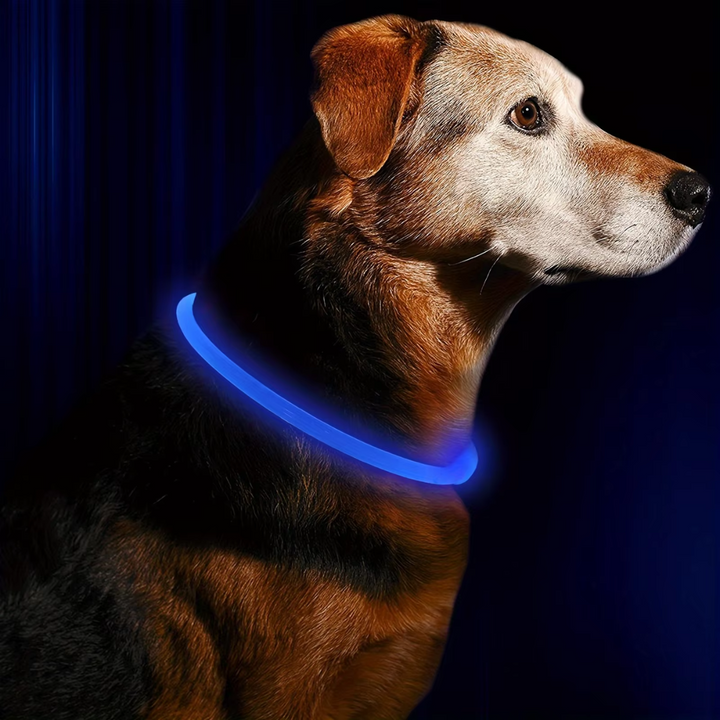 Adjustable LED safety collar keeps your dog visible and safe during evening strolls.