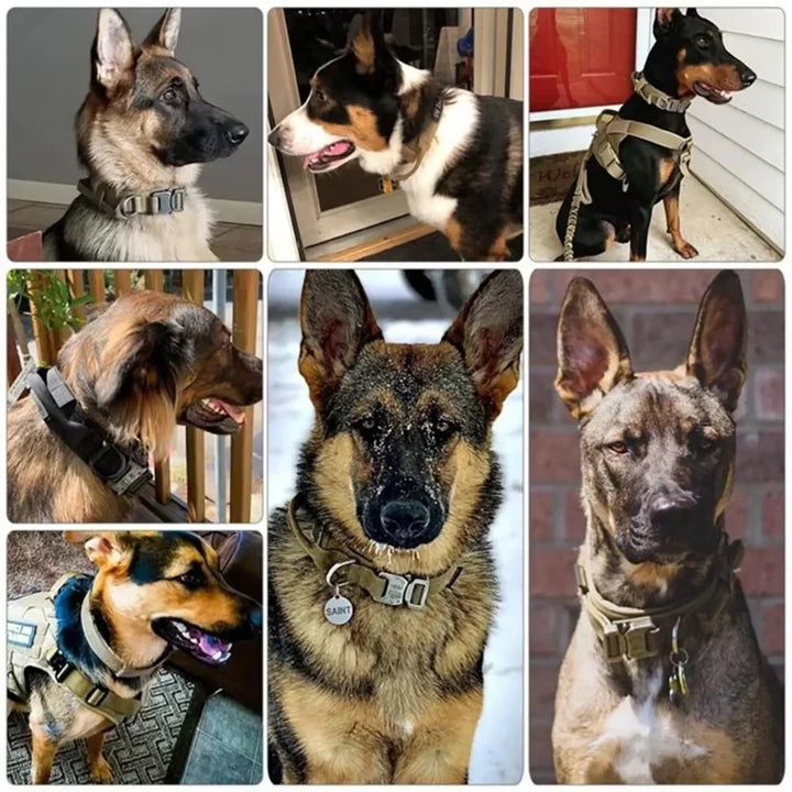 Black tactical dog collar with sturdy control handle, adjustable for police and military K9s