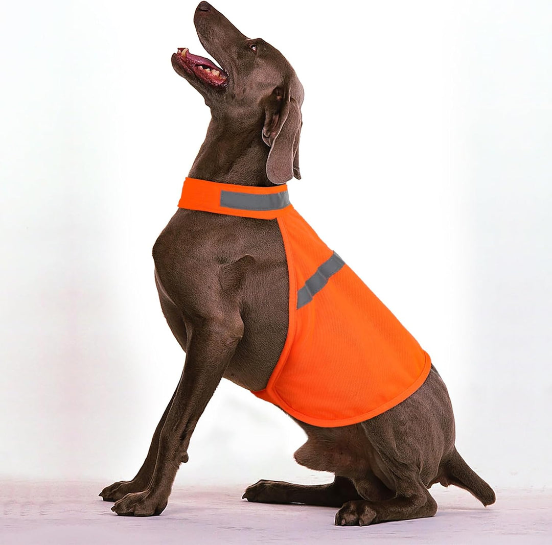 Adjustable reflective dog vest for small, medium, large breeds, ensuring high visibility & safety in low light.