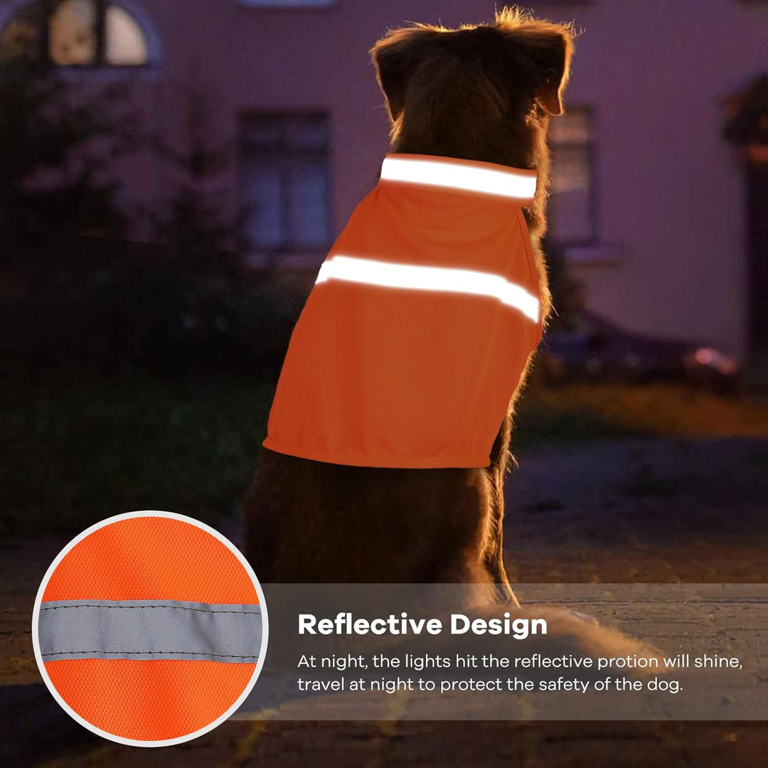 Comfortable high visibility dog safety vest with reflective strips, perfect for safe night walks & outdoor play.