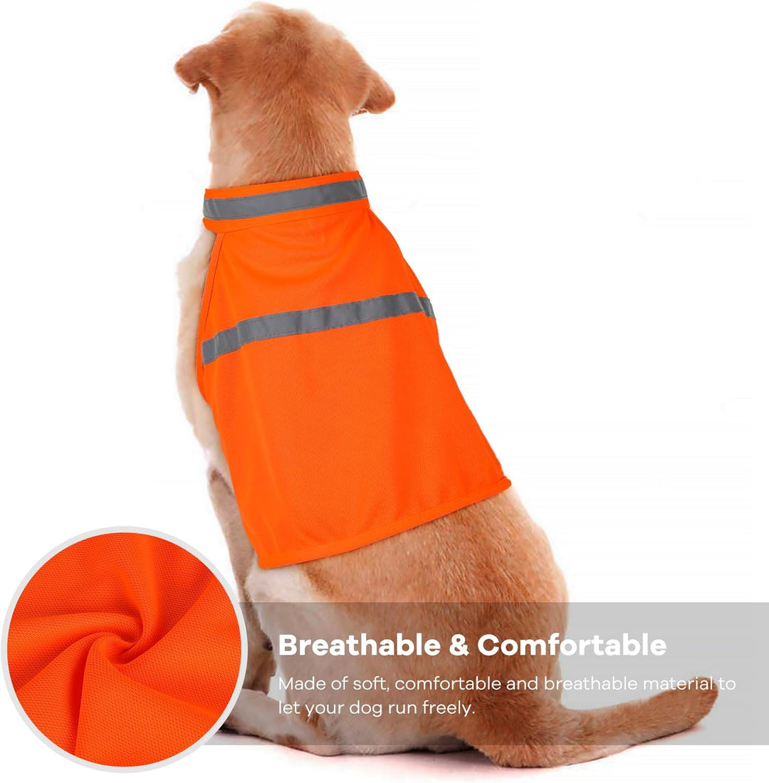 Durable pet gear: reflective high visibility dog vest for enhanced safety during evening and early morning walks.