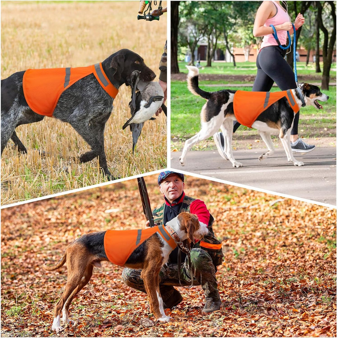 Bright, reflective dog apparel for high visibility, keeping your pet safe and seen during any outdoor activity.