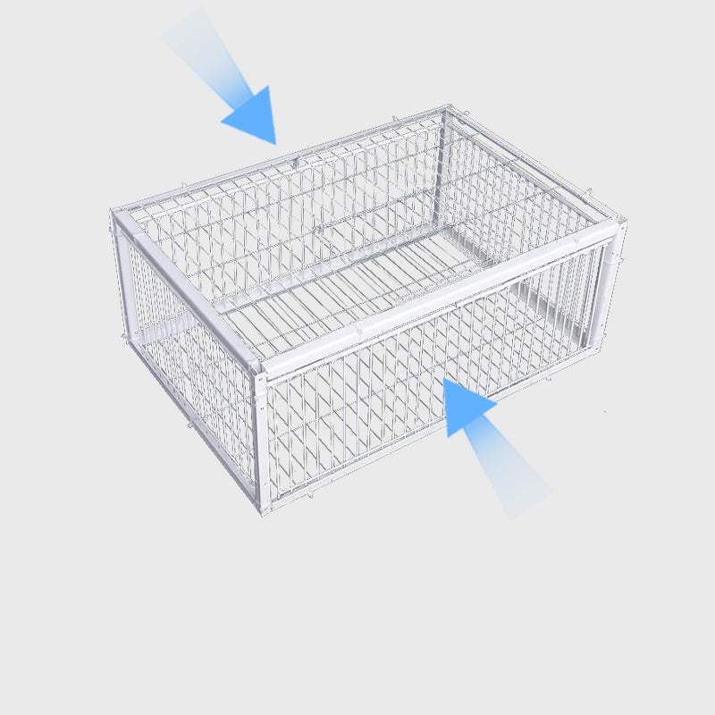 Safe, reusable humane bird trap for effective wildlife control and property protection in any outdoor setting.