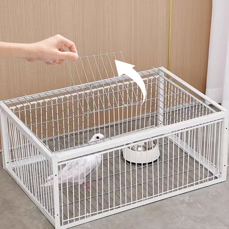 Safe & effective humane bird trap, ideal for pest control in gardens, farms, & outdoor areas.