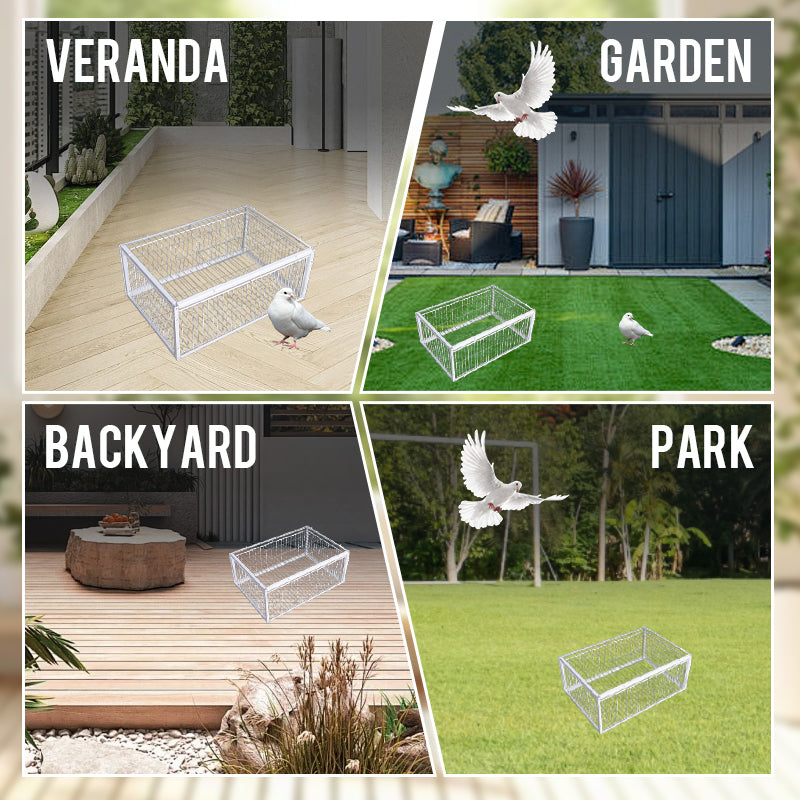 Wire mesh humane bird trap, a reusable live cage for outdoor pest and wildlife management.