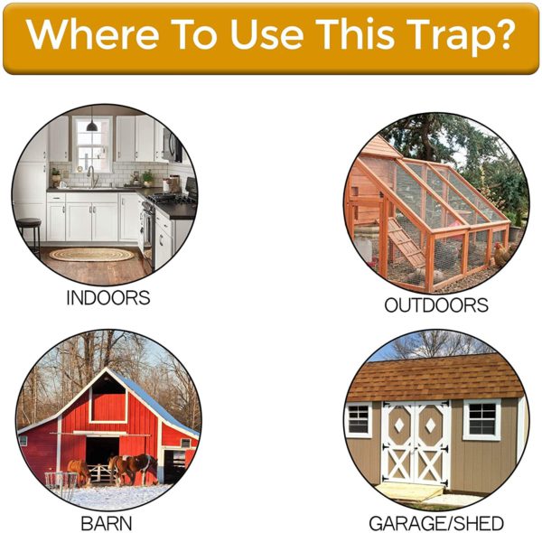 Durable humane bucket mouse trap lid for safe live capture of rodents. Ideal for indoor & outdoor use.
