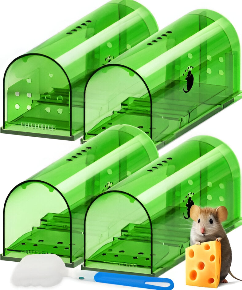 Humane mouse traps, 4-pack, for safe, no-kill live catch pest control. Reusable, animal-friendly rodent solution.