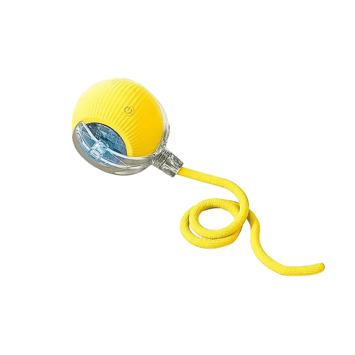 Unisex interactive dog toy, bouncing, rechargeable, for stimulating dog play & physical activity.