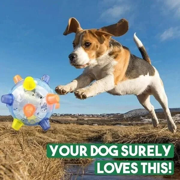 Durable interactive jumping ball, great puppy toy for exercise, keeps active dogs entertained.