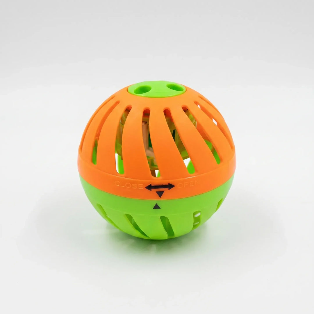 Thrilling outdoor water balloon game, perfect for summer parties. Fun active play for kids & family gatherings.