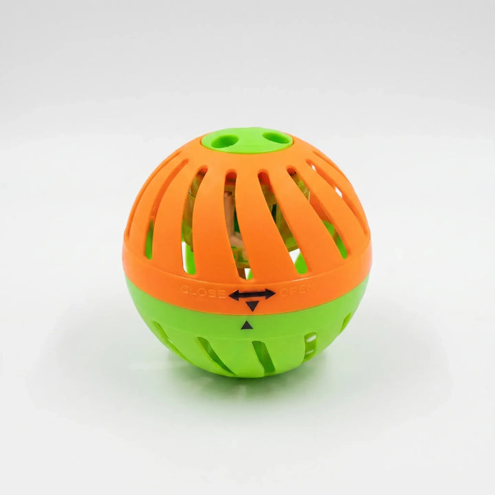 Thrilling outdoor water balloon game, perfect for summer parties. Fun active play for kids & family gatherings.