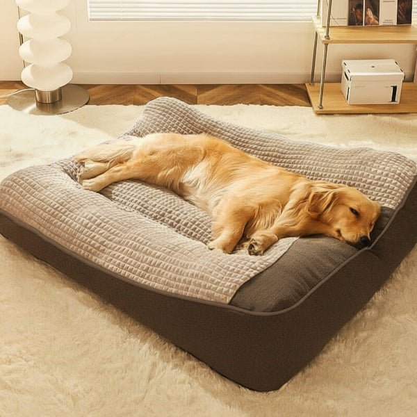 Large orthopedic dog bed for big dogs, offering ultimate comfort & joint support.