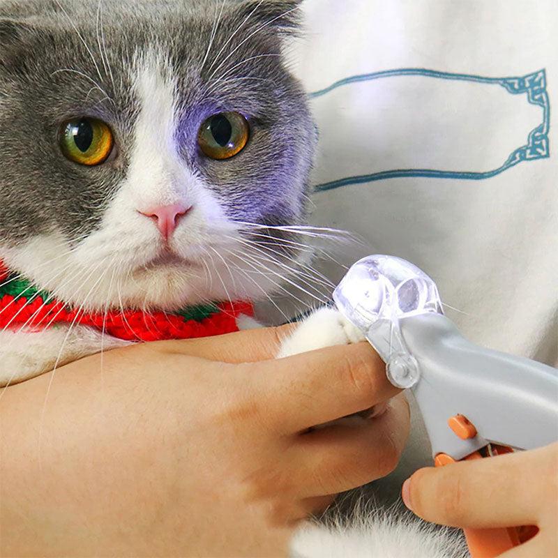 LED cat nail clipper ensures safe, precise paw grooming. Integrated light illuminates the quick, preventing pain.