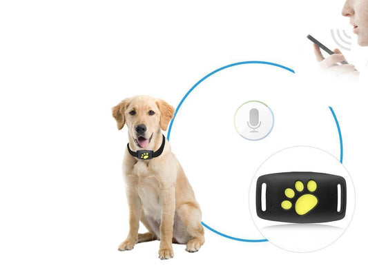 Localizzatore GPS per gatti, compatto e leggero, con funzioni di tracciamento reale e design confortevole.