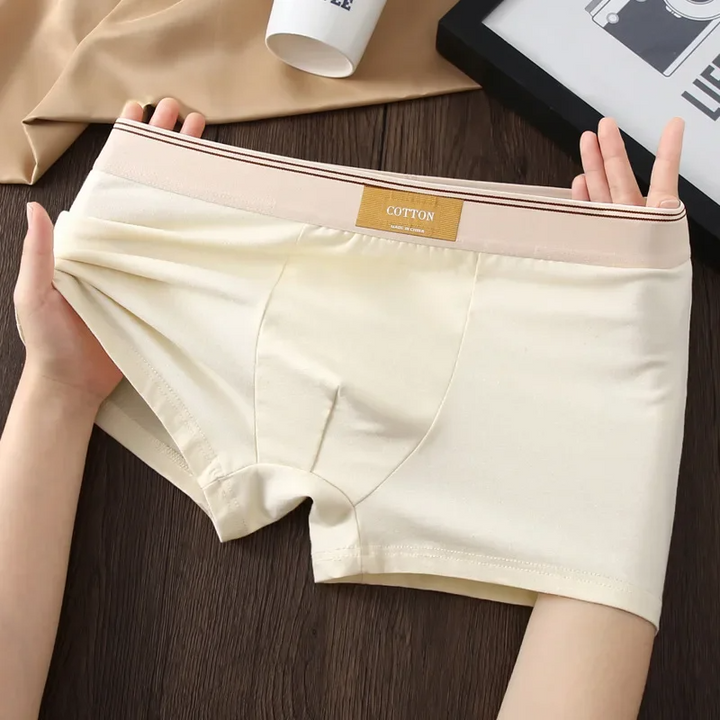 Comfortable men's apparel: a 3-pack of mid-rise, no-roll boxer briefs, ideal for daily and active wear.