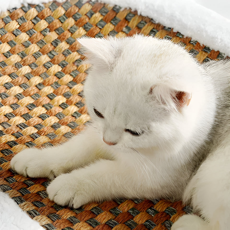 Stylish multi-use cat scratcher lounge bed. Durable pet furniture for feline play, comfort, and home protection.